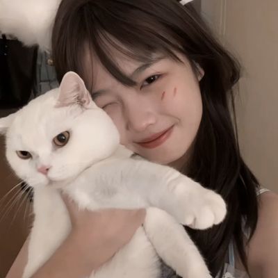 皓月王者手游官方版下载